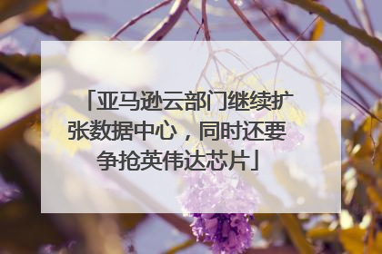 亚马逊云部门继续扩张数据中心，同时还要争抢英伟达芯片