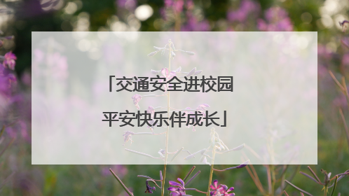 交通安全进校园 平安快乐伴成长