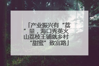 产业振兴有“荔”量，海口秀英火山荔枝王铺就乡村“甜蜜”致富路