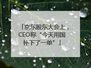 京东股东大会上，CEO称“今天用国补下了一单”
