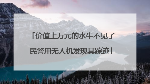 价值上万元的水牛不见了 民警用无人机发现其踪迹