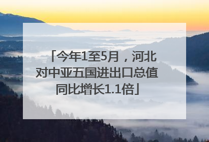今年1至5月，河北对中亚五国进出口总值同比增长1.1倍