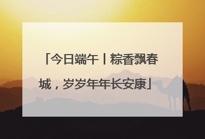 今日端午丨粽香飘春城，岁岁年年长安康