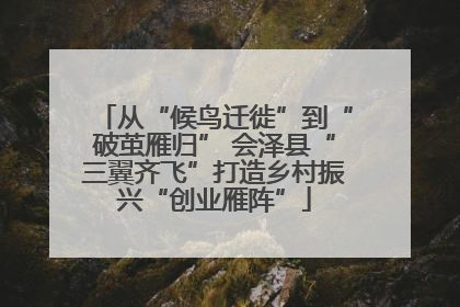 从“候鸟迁徙”到“破茧雁归” 会泽县“三翼齐飞”打造乡村振兴“创业雁阵”