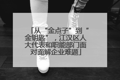 从“金点子”到“金钥匙”，江汉区人大代表和职能部门面对面解企业难题
