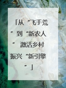 从“飞手荒”到“新农人” 激活乡村振兴“新引擎”