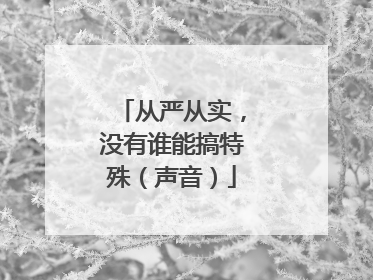 从严从实，没有谁能搞特殊（声音）