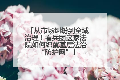 从市场纠纷到全域治理！看兵团这家法院如何织就基层法治 “防护网”