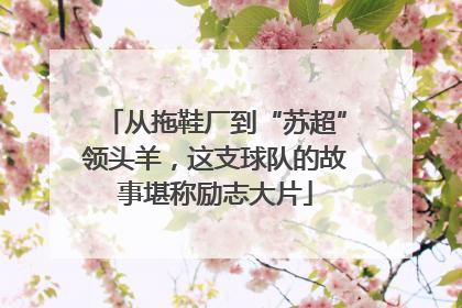 从拖鞋厂到“苏超”领头羊，这支球队的故事堪称励志大片