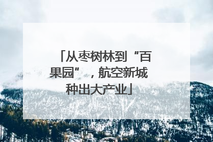 从枣树林到“百果园”，航空新城种出大产业