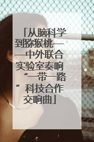 从脑科学到猕猴桃——中外联合实验室奏响“一带一路”科技合作交响曲