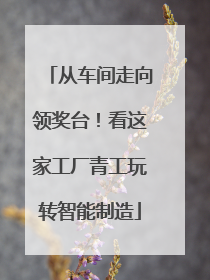 从车间走向领奖台！看这家工厂青工玩转智能制造