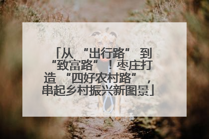 从 “出行路” 到 “致富路”！枣庄打造 “四好农村路”，串起乡村振兴新图景
