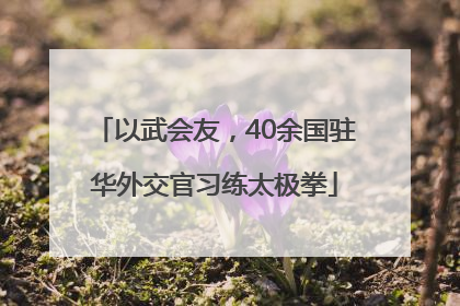 以武会友，40余国驻华外交官习练太极拳