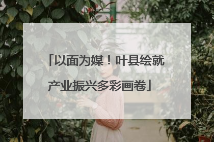 以面为媒！叶县绘就产业振兴多彩画卷