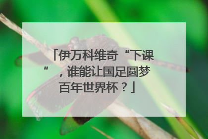 伊万科维奇“下课”，谁能让国足圆梦百年世界杯？