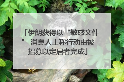 伊朗获得以“敏感文件” 消息人士称行动由被招募以定居者完成