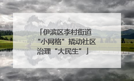 伊滨区李村街道 “小网格”撬动社区治理“大民生”