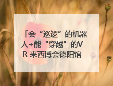 会“巡逻”的机器人+能“穿越”的VR 来西博会德阳馆感受古蜀文明与现代智造的时空对话｜西博视界