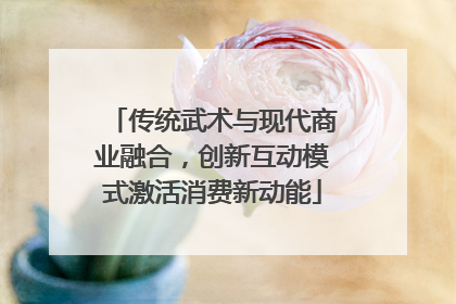 传统武术与现代商业融合，创新互动模式激活消费新动能