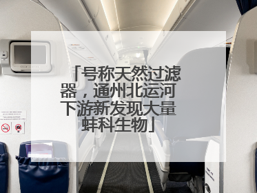 号称天然过滤器，通州北运河下游新发现大量蚌科生物