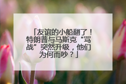友谊的小船翻了！特朗普与马斯克“骂战”突然升级，他们为何而吵？