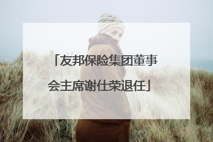 友邦保险集团董事会主席谢仕荣退任