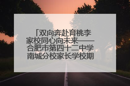 双向奔赴育桃李 家校同心向未来——合肥市第四十二中学南城分校家长学校期末总结会圆满召开