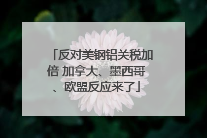 反对美钢铝关税加倍 加拿大、墨西哥、欧盟反应来了