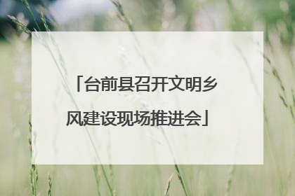 台前县召开文明乡风建设现场推进会