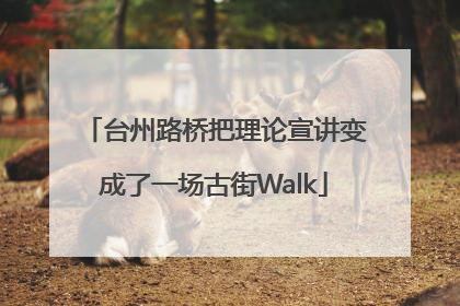 台州路桥把理论宣讲变成了一场古街Walk