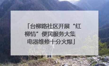 台柳路社区开展“红柳情”便民服务大集 电器维修十分火爆