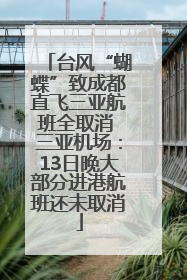 台风“蝴蝶”致成都直飞三亚航班全取消 三亚机场：13日晚大部分进港航班还未取消
