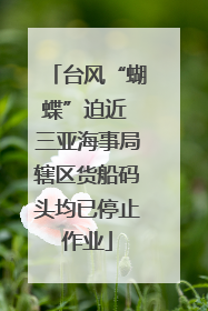 台风“蝴蝶”迫近 三亚海事局辖区货船码头均已停止作业
