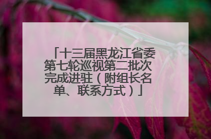 十三届黑龙江省委第七轮巡视第二批次完成进驻（附组长名单、联系方式）