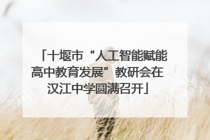 十堰市“人工智能赋能高中教育发展”教研会在汉江中学圆满召开