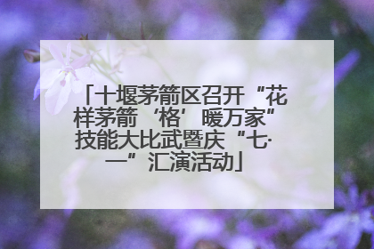 十堰茅箭区召开“花样茅箭‘格’暖万家”技能大比武暨庆“七·一”汇演活动