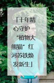 十年精心守护 “植物大熊猫”红河苏铁焕发新生