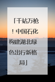 千站万枪！中国石化构建湖北绿色出行新格局