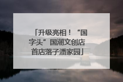升级亮相！“国字头”国潮文创店首店落子潘家园