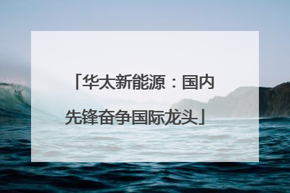 华太新能源：国内先锋奋争国际龙头