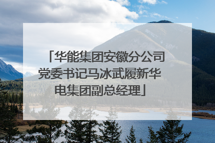 华能集团安徽分公司党委书记马冰武履新华电集团副总经理