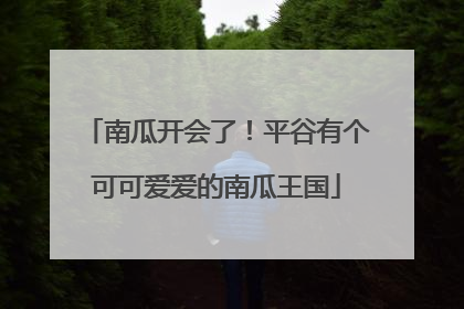 南瓜开会了！平谷有个可可爱爱的南瓜王国