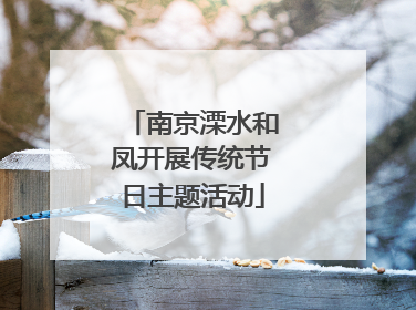 南京溧水和凤开展传统节日主题活动