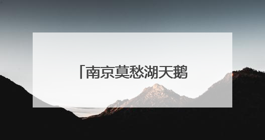 南京莫愁湖天鹅“花式”秀恩爱