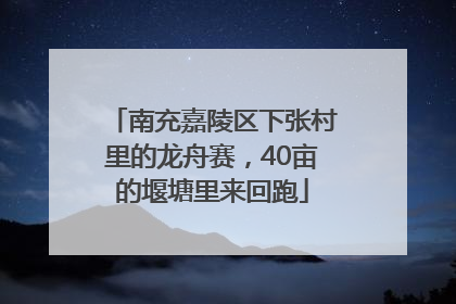 南充嘉陵区下张村里的龙舟赛，40亩的堰塘里来回跑