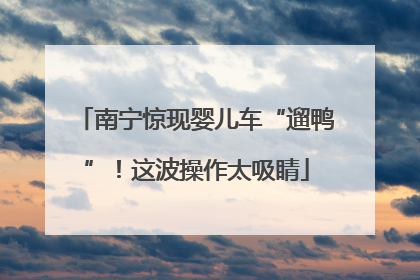 南宁惊现婴儿车“遛鸭”！这波操作太吸睛