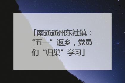 南通通州东社镇：“五一”返乡，党员们“归巢”学习