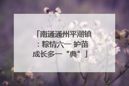 南通通州平潮镇：粽情六一 护苗成长多一“典”
