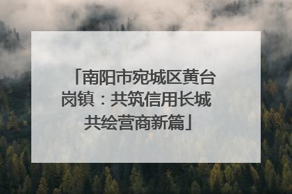 南阳市宛城区黄台岗镇：共筑信用长城 共绘营商新篇